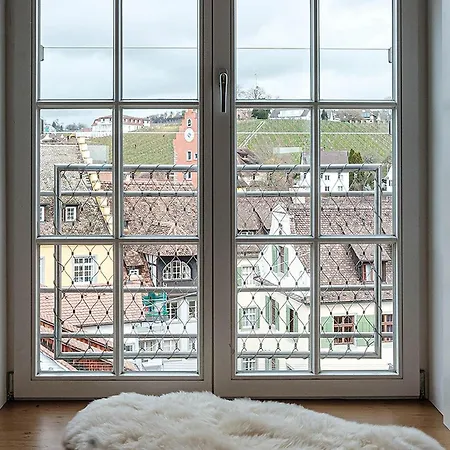 Appartement Loft Am Schlossplatz Meersburg